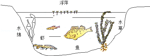 洗手间截了一段小视频食物链背后的隐秘生态